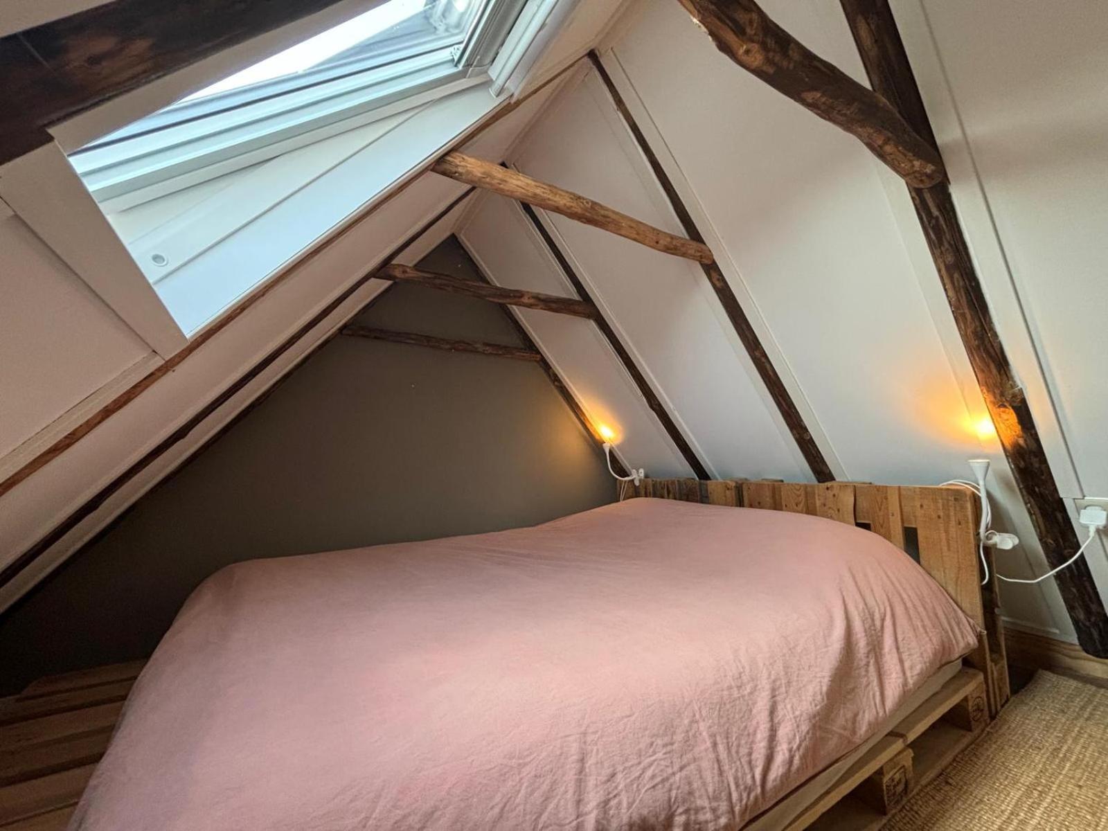 Вілла Tiny House De Smederij Peize Екстер'єр фото